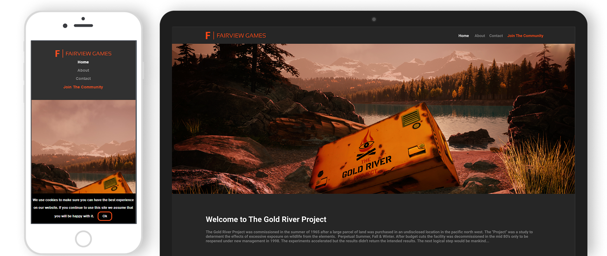 fairview iphone and laptop with website