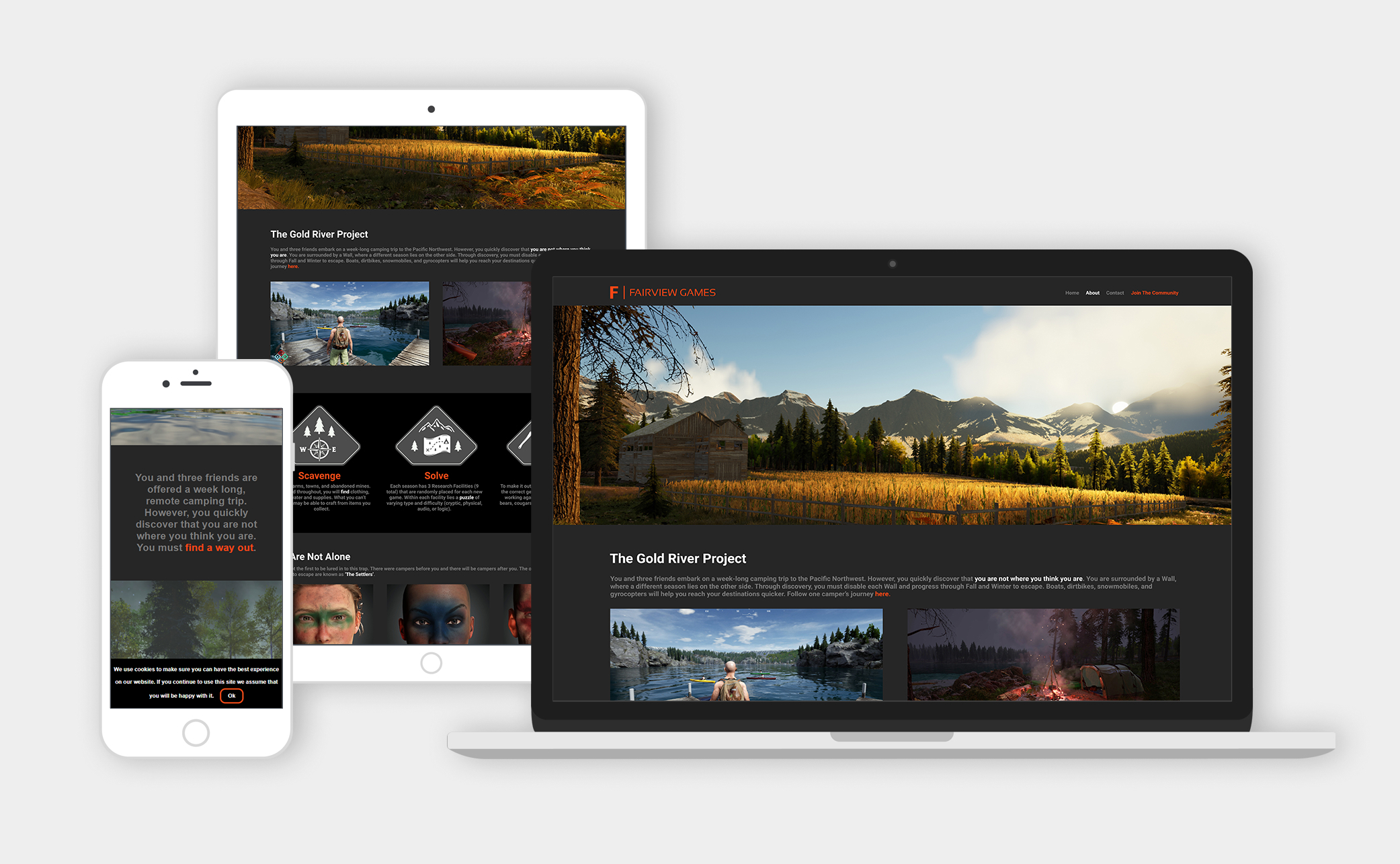 fairview website devices image
